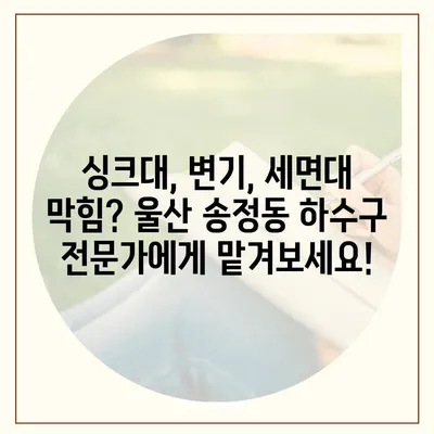 울산시 북구 송정동 하수구막힘 | 가격 | 비용 | 기름제거 | 싱크대 | 변기 | 세면대 | 역류 | 냄새차단 | 2024 후기