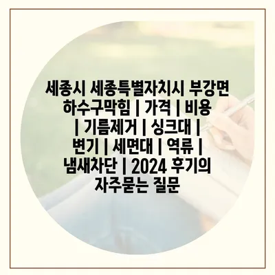 세종시 세종특별자치시 부강면 하수구막힘 | 가격 | 비용 | 기름제거 | 싱크대 | 변기 | 세면대 | 역류 | 냄새차단 | 2024 후기