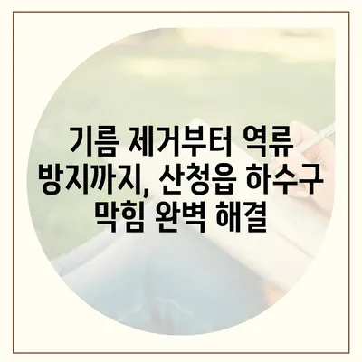 경상남도 산청군 산청읍 하수구막힘 | 가격 | 비용 | 기름제거 | 싱크대 | 변기 | 세면대 | 역류 | 냄새차단 | 2024 후기