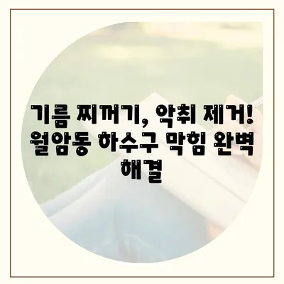 대구시 달서구 월암동 하수구막힘 | 가격 | 비용 | 기름제거 | 싱크대 | 변기 | 세면대 | 역류 | 냄새차단 | 2024 후기