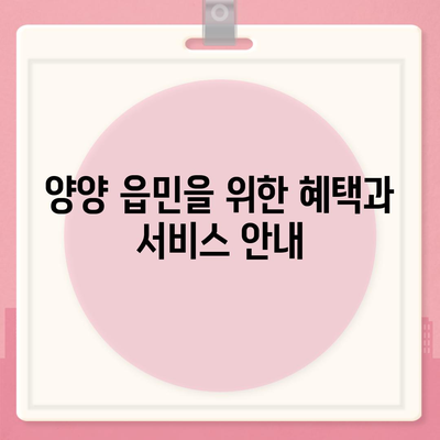 강원도 양양군 양양읍 치아보험 가격 | 치과보험 | 추천 | 비교 | 에이스 | 라이나 | 가입조건 | 2024