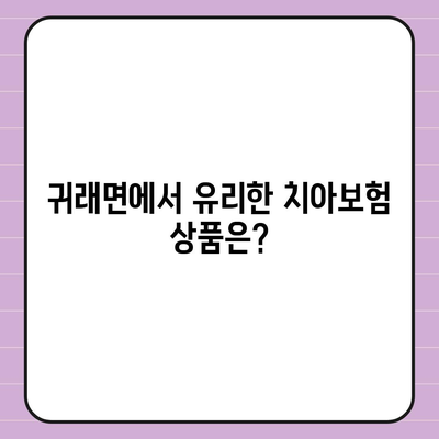 강원도 원주시 귀래면 치아보험 가격 | 치과보험 | 추천 | 비교 | 에이스 | 라이나 | 가입조건 | 2024