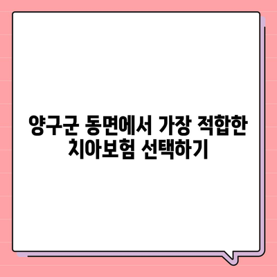 강원도 양구군 동면 치아보험 가격 | 치과보험 | 추천 | 비교 | 에이스 | 라이나 | 가입조건 | 2024