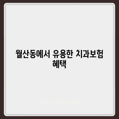 광주시 남구 월산동 치아보험 가격 | 치과보험 | 추천 | 비교 | 에이스 | 라이나 | 가입조건 | 2024