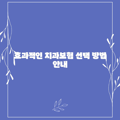 대구시 동구 동촌동 치아보험 가격 | 치과보험 | 추천 | 비교 | 에이스 | 라이나 | 가입조건 | 2024