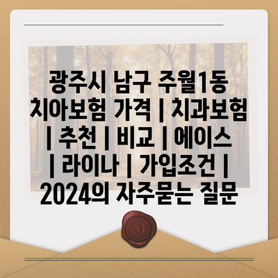 광주시 남구 주월1동 치아보험 가격 | 치과보험 | 추천 | 비교 | 에이스 | 라이나 | 가입조건 | 2024