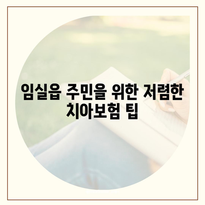 전라북도 임실군 임실읍 치아보험 가격 | 치과보험 | 추천 | 비교 | 에이스 | 라이나 | 가입조건 | 2024