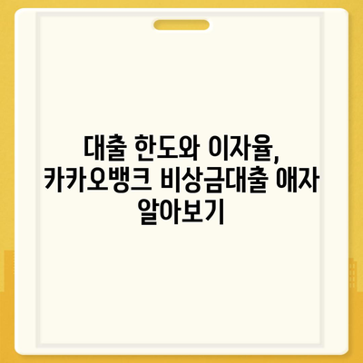 카카오뱅크 비상금대출 애자