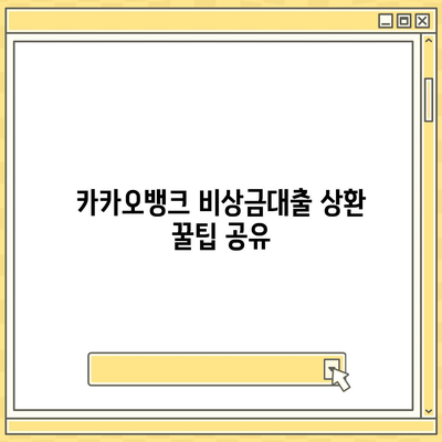 카카오뱅크 비상금대출 상환