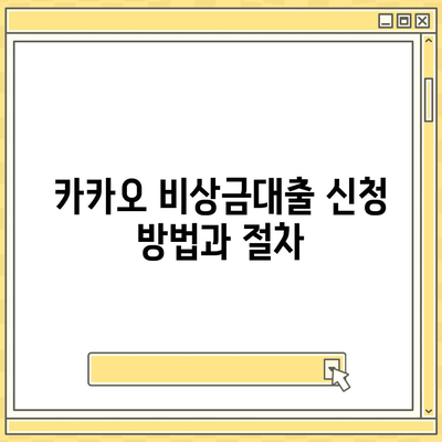 카카오 비상금대출