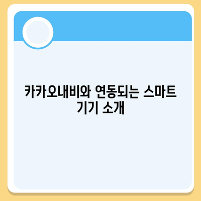 카카오내비