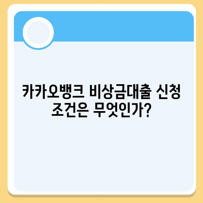 카카오뱅크 pc버전 비상금대출 신용점수