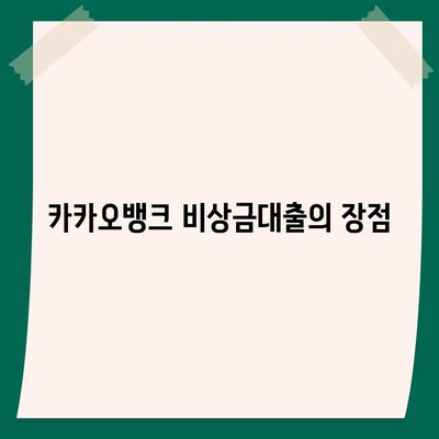 카카오뱅크 pc버전 비상금대출신청