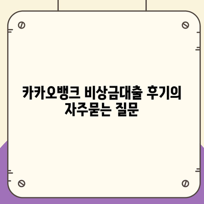 카카오뱅크 비상금대출 후기