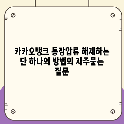 카카오뱅크 통장압류 해제하는 단 하나의 방법