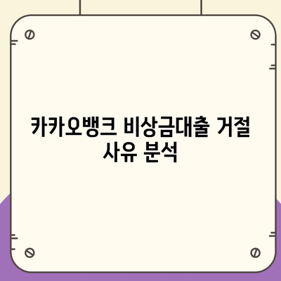 카카오뱅크 비상금대출 거절