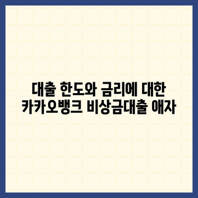 카카오뱅크 비상금대출 애자