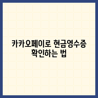 카카오페이 현금영수증 발급, 등록, 확인, 수정 방법 소개