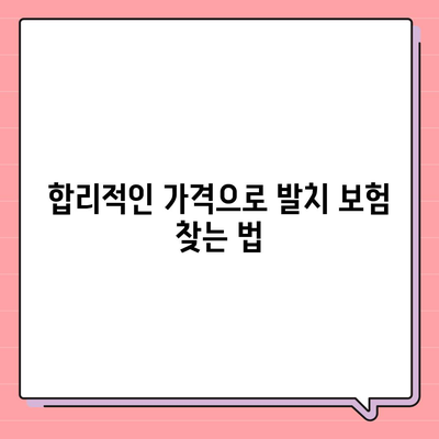 합리적인 가격으로 발치 보험 가입하기 위한 안내서