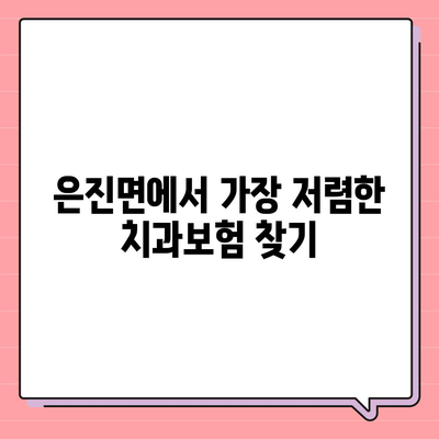 충청남도 논산시 은진면 치아보험 가격 | 치과보험 | 추천 | 비교 | 에이스 | 라이나 | 가입조건 | 2024