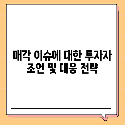 카카오 골프 퀀텀 매각 이슈 대응