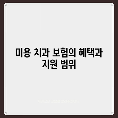 미용 치과 보험으로 치과진료비 부담 경감