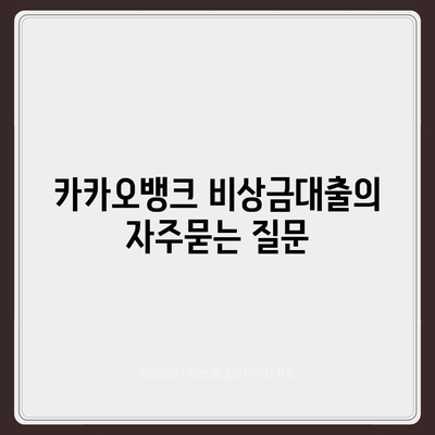 카카오뱅크 비상금대출