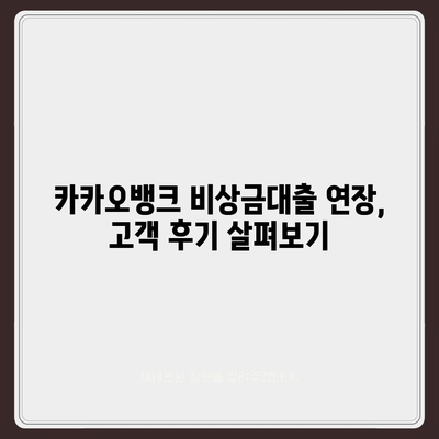 카카오뱅크 비상금대출 연장