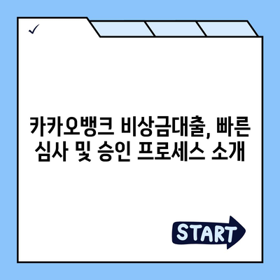 카카오뱅크 pc버전 비상금대출 pc버전 애자