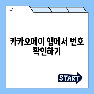 카카오페이 현금영수증 번호 확인 방법