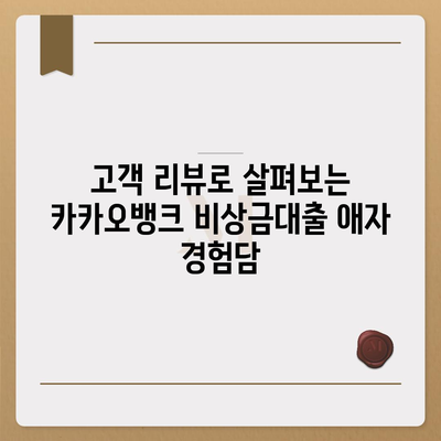 카카오뱅크 비상금대출 애자