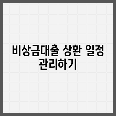 카카오뱅크 비상금대출 상환