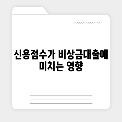 카카오뱅크 pc버전 비상금대출 신용점수