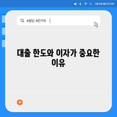 카카오뱅크 비상금대출 후기