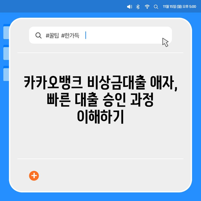 카카오뱅크 비상금대출 애자