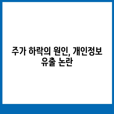 카카오페이 주가 개인정보유출 논란과 주식 전망