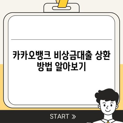 카카오뱅크 비상금대출 상환