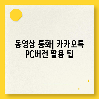 카카오톡 pc버전 동영상