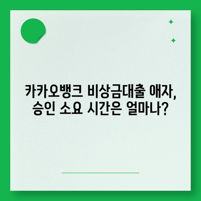 카카오뱅크 비상금대출 애자