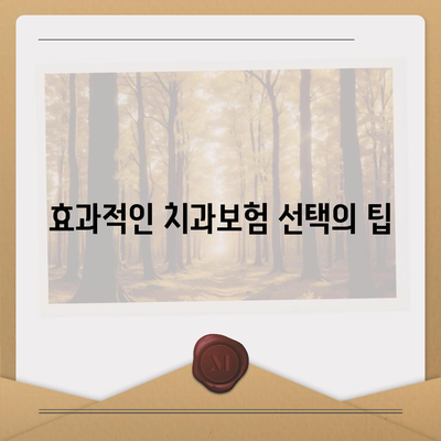 강원도 철원군 근남면 치아보험 가격 | 치과보험 | 추천 | 비교 | 에이스 | 라이나 | 가입조건 | 2024