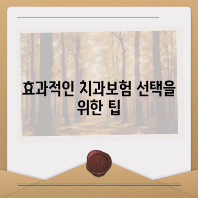 제주도 서귀포시 남원읍 치아보험 가격 | 치과보험 | 추천 | 비교 | 에이스 | 라이나 | 가입조건 | 2024