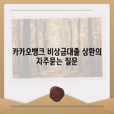 카카오뱅크 비상금대출 상환