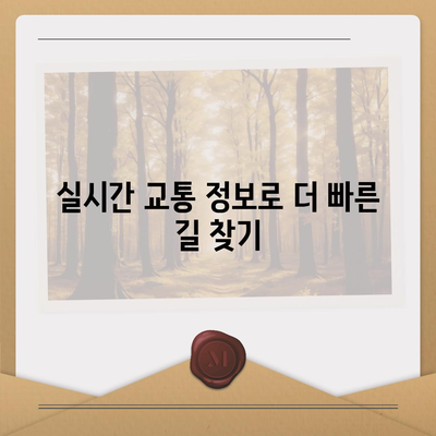 카카오내비