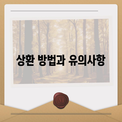 카카오 비상금대출