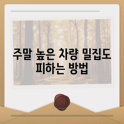 판교 현대백화점 주차 꿀팁 | 카카오 내비와 카카오 T 활용