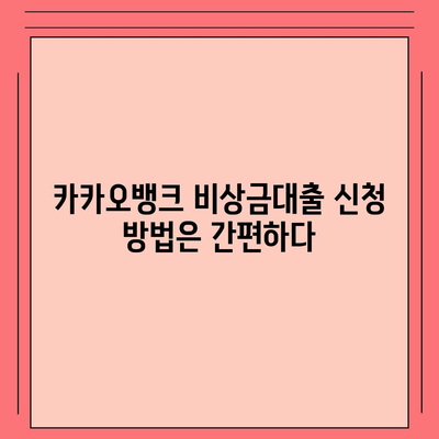 카카오뱅크 비상금대출 후기