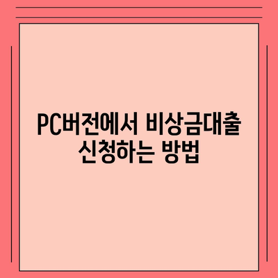 카카오뱅크 pc버전 비상금대출 pc버전 신청