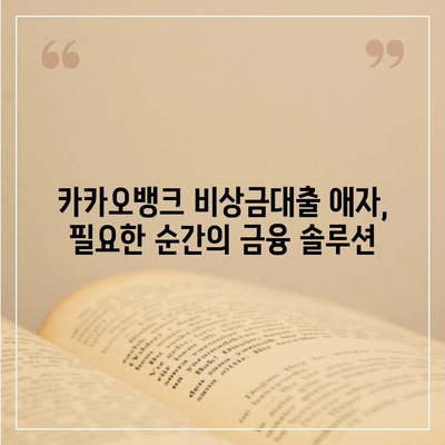 카카오뱅크 비상금대출 애자