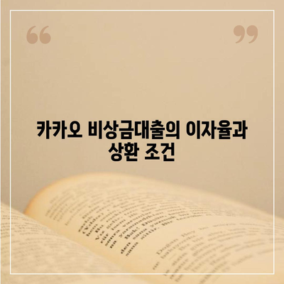 카카오 비상금대출