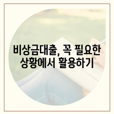 카카오뱅크 비상금대출 후기